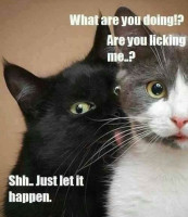 are-you-licking-me-just-let-it-happen.jpg
