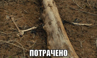 macro-потрачено.jpg