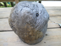 petrock02.jpg