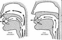 nasal_vowels1[1].jpg