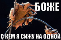 macro-боже-с-кем-я-сижу-на-одной.jpg