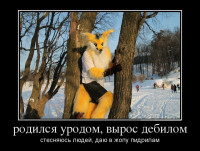 Хейтдом-разное-furry-hate-фурфаги-730292.jpeg