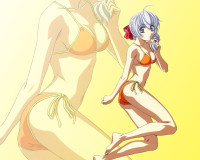 Konachan.com-42406-full_metal_panic-swimsuit-telet.jpg