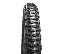 trail_master_panaracer_tyre.jpg