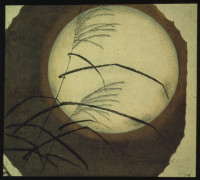 Wind-Blown-Grass-Across-The-Moon.jpg