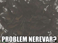 Problem-Nerevar.jpg