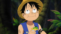 One-Piece-408-(1280x720-x264-AAC).mp4_snapshot_14..jpg