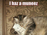 cat-with-money.jpg