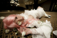 broken_doll_by_vickybunnyangel.jpg