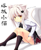 Anime-High-School-DxD-Toujou-Koneko-neko-923193.jpeg