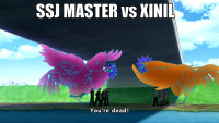 macro-ssj-master-vs-xinil.jpg