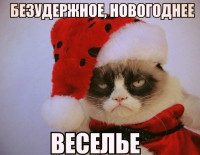 Grumpy-Cat-новый-год-веселье-517062.jpeg