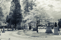 split_tone_infrared_cemetery_by_whothennow24-d1km0.jpg