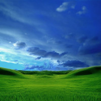green-grass-blue-field.jpg