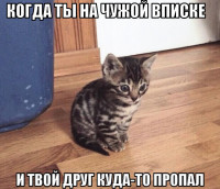 macro-когда-ты-на-чужой-вписке.jpg