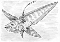 Pterodisparopsichthys_prolongisomus.jpg