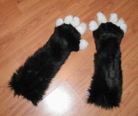 paws2.jpg