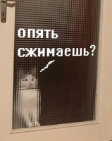 котэ-живность-песочница-2104458.jpeg