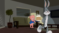 The.Looney.Tunes.Show.S02E20.-WEB-DLRip.-DUB.ENG.a.jpg