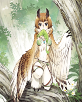 Monster-Girl-Anime-Art-Anime-Harpy-1459257.jpeg