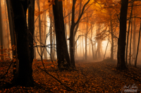 _soft_veil_of_mystery__by_janek_sedlar-d75d8sc.jpg