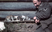 Heer-soldier-with-cat-in-color.jpg