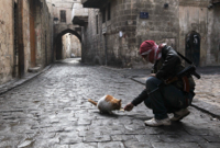 img_pod_syria-aleppo-cat-0701.jpg