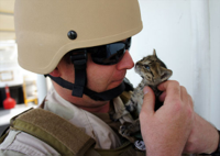 soldier-cat-9.jpg