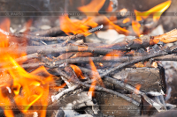 4117598-tree-branches-burning.jpg