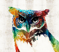 colorful-owl-art-wise-guy-by-sharon-cummings-sharo.jpg