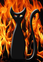 evil-cat-1358366164bqj.jpg