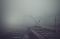 fog_catchers_by_eredel-d3g6hvh.jpg