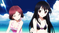 swimsuitbusters.jpg