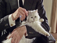 James-Bond-with-Cat.jpg