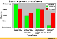 диаграмма-Прикольные-картинки-Легкая-наркомания-пе.jpeg