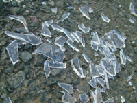 shards-of-glass.jpg