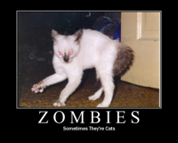 zombies-are-sometimes-cats.jpg