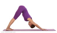 amsvanasana.jpg