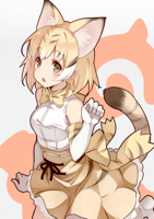 __sand_cat_kemono_friends_drawn_by_kujou_ichiso__a.jpg