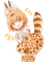 nanamori-illustration-serval-chan-min.jpg