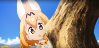 serval-kemono.jpg