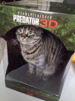 Predator_kote_3D.jpg