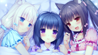 nekopara_vol0-2017-05-26-20-59-13-72.jpg