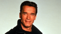 arnold_schwarzenegger_actor_celebrity_smile_101710.jpg