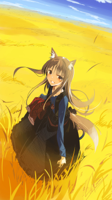 yande.re-390854-sample-animal_ears-holo-seu_(hutot.jpg