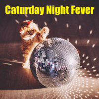 Caturday-Night-Fever.jpg