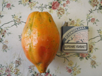 carica-papaya.JPG