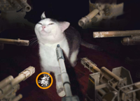 crossout_cat2.jpg