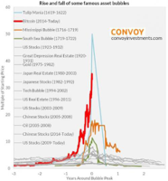 bitcoin-tulip-mania-1_0.jpg