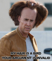 bird-hair.jpeg